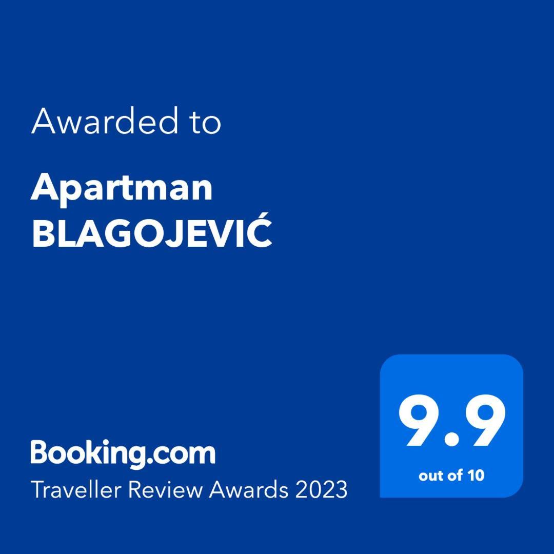 Apartman Blagojevic Banja Koviljača Eksteriør bilde